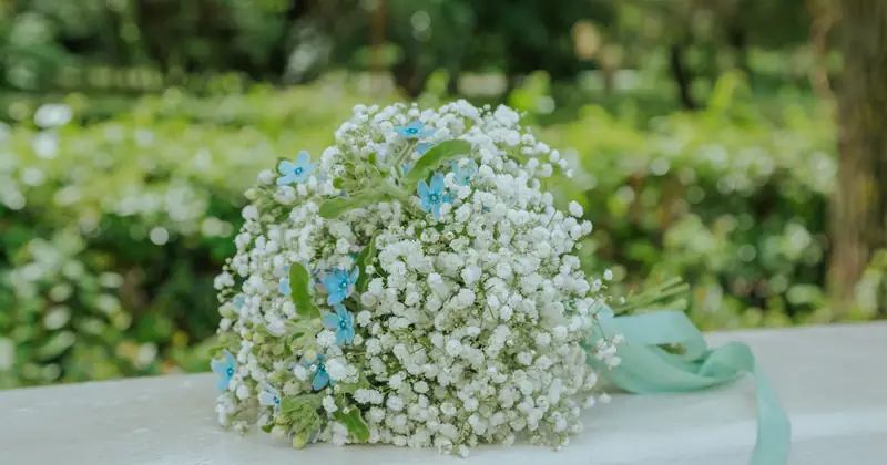 Beautiful bouquet of white gypsophila and small blue flowers with a ribbon outdoors.